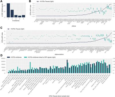 Colocalization of corneal resistance factor GWAS loci with GTEx e/sQTLs highlights plausible candidate causal genes for keratoconus postnatal corneal stroma weakening